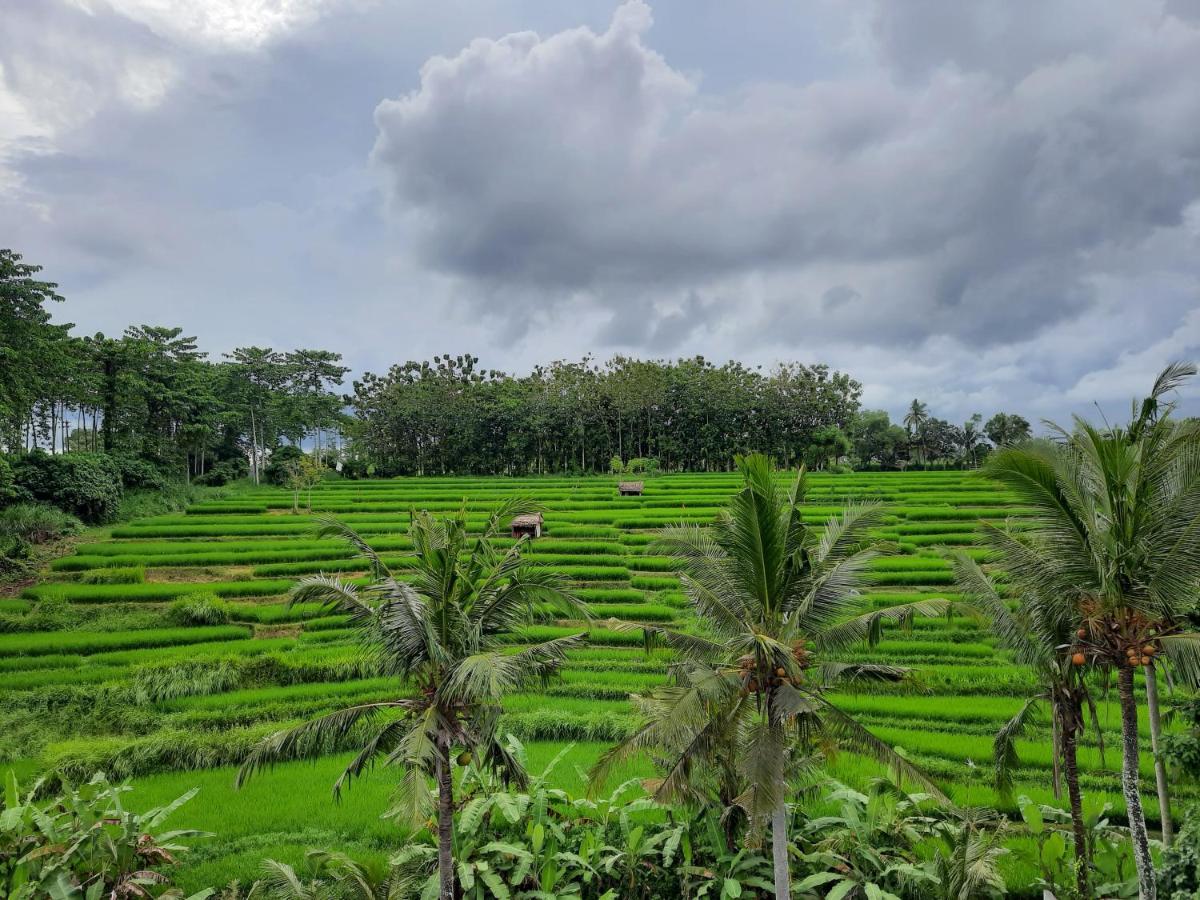 Serenity Private Villa Mas Ubud Dış mekan fotoğraf