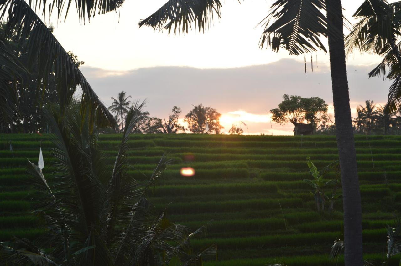 Serenity Private Villa Mas Ubud Dış mekan fotoğraf