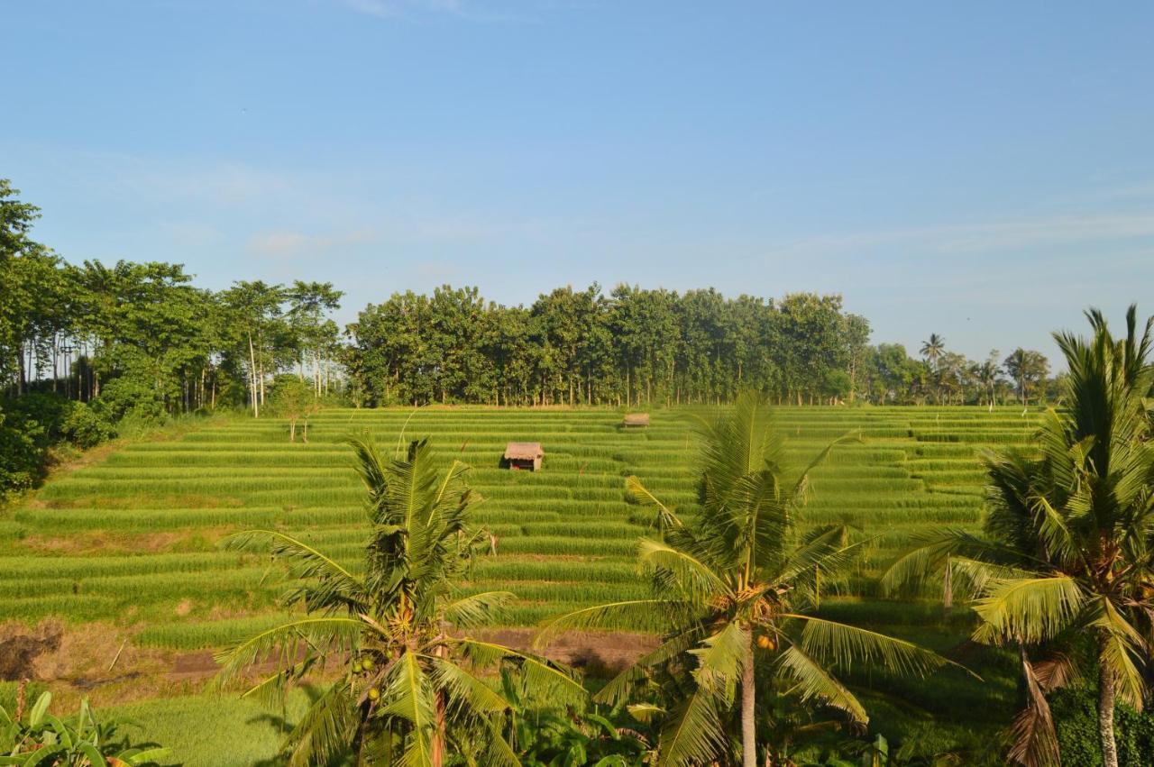 Serenity Private Villa Mas Ubud Dış mekan fotoğraf