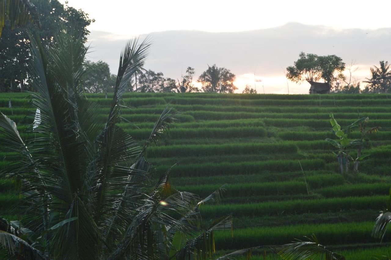 Serenity Private Villa Mas Ubud Dış mekan fotoğraf