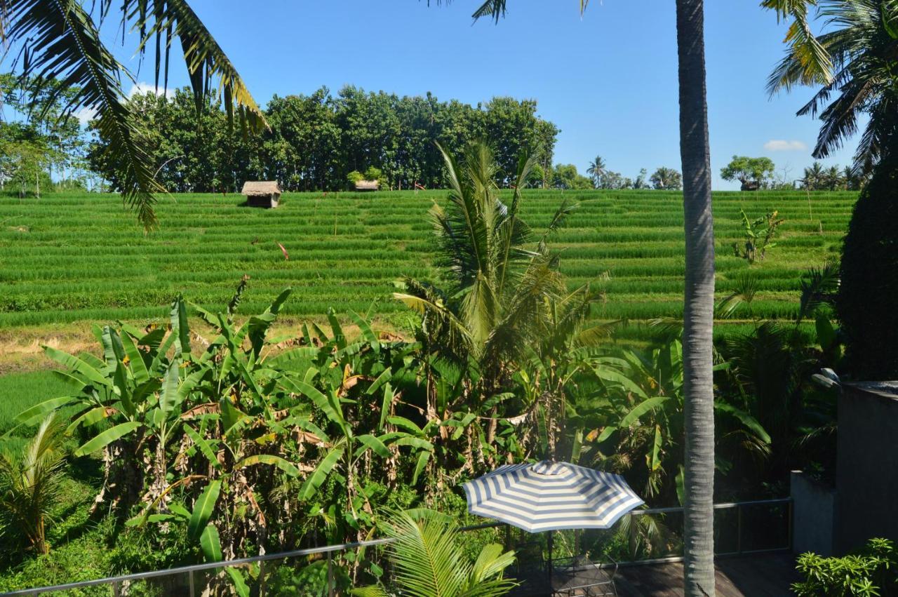 Serenity Private Villa Mas Ubud Dış mekan fotoğraf